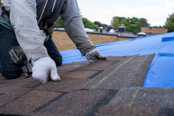 Best Roof Maintenance Services  in Mertzon, TX