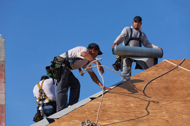 Best Metal Roofing Contractor  in Mertzon, TX