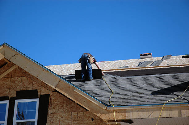 Best Roof Gutter Cleaning  in Mertzon, TX