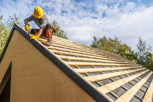 Best Roof Repair Services  in Mertzon, TX