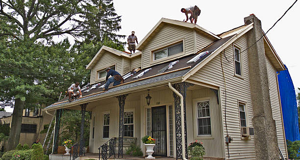Roof Gutter Cleaning in Mertzon, TX