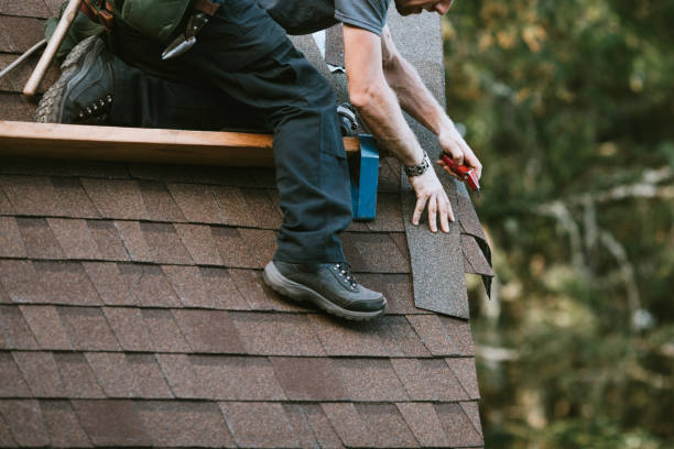 Best Roof Inspection Near Me  in Mertzon, TX